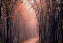 爱游戏：佩顿重伤恐离队！勇士面临续约难题，底薪留人还是放手.