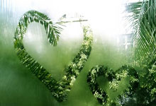 荆州马拉松激情开跑 中外选手齐聚历史文化名城3-30 16：51.