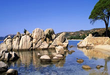 篮球——CBA常规赛：浙江方兴渡胜天津先行者.